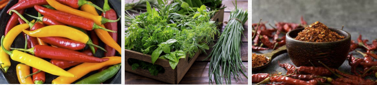 Screenshot 2025-02-17 170145